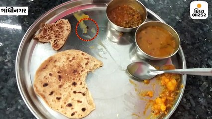 ગુજરાત વિધાનસભાની કેન્ટીનની જ દાળમાંથી જીવડું નીકળ્યું, ફૂડ એન્ડ ડ્રગ્સ વિભાગ દ્વારા તપાસનો દોર શરૂ