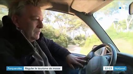 Porquerolles : préserver l'une des plus elles plages d'Europe