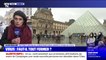 Louvre fermé: "On se rend compte d'une impréparation majeure" en cas d'épidémie du coronavirus, explique le syndicat SUD Culture