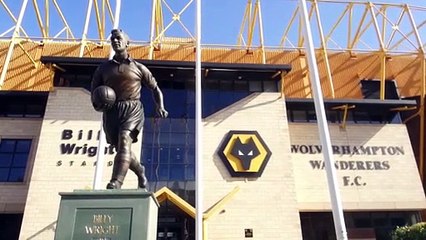 Wolves in Barcelona Bring BIG Crowds!