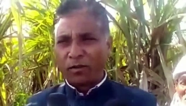 शामली: विद्युत विभाग की लापरवाही, सरकार से उठा किसानों का भरोसा।