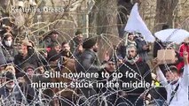 Clashes escalate between Greek army and migrants on Turkish border