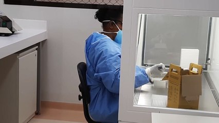 Brasileiros sequenciam genoma de COVID-19