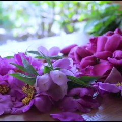 Liziqi Tasty - Lziqi - Best Food Cooking Video For Spring