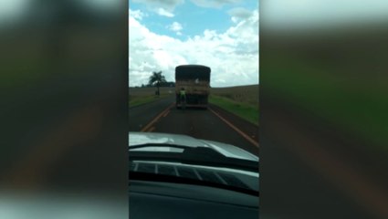 Internauta questiona ciclista transitando atrás de caminhão na PR-486