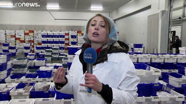 Les pêcheurs de l’UE souhaitent conserver leur accès aux britanniques riches en poissons