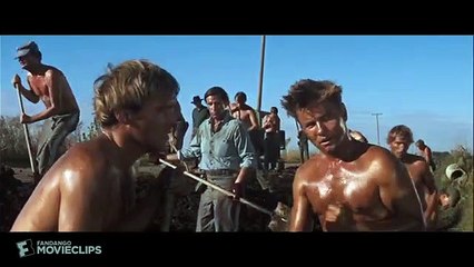Cool_Hand_Luke__1967__-_Car_Wash_Scene__2_8____Movieclips