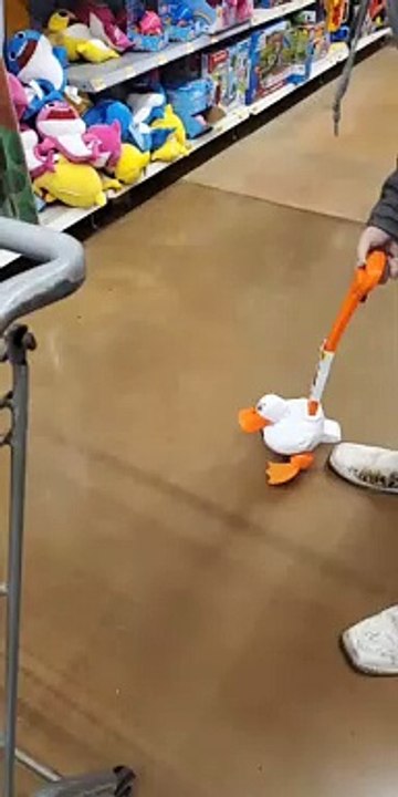 Quacking Up