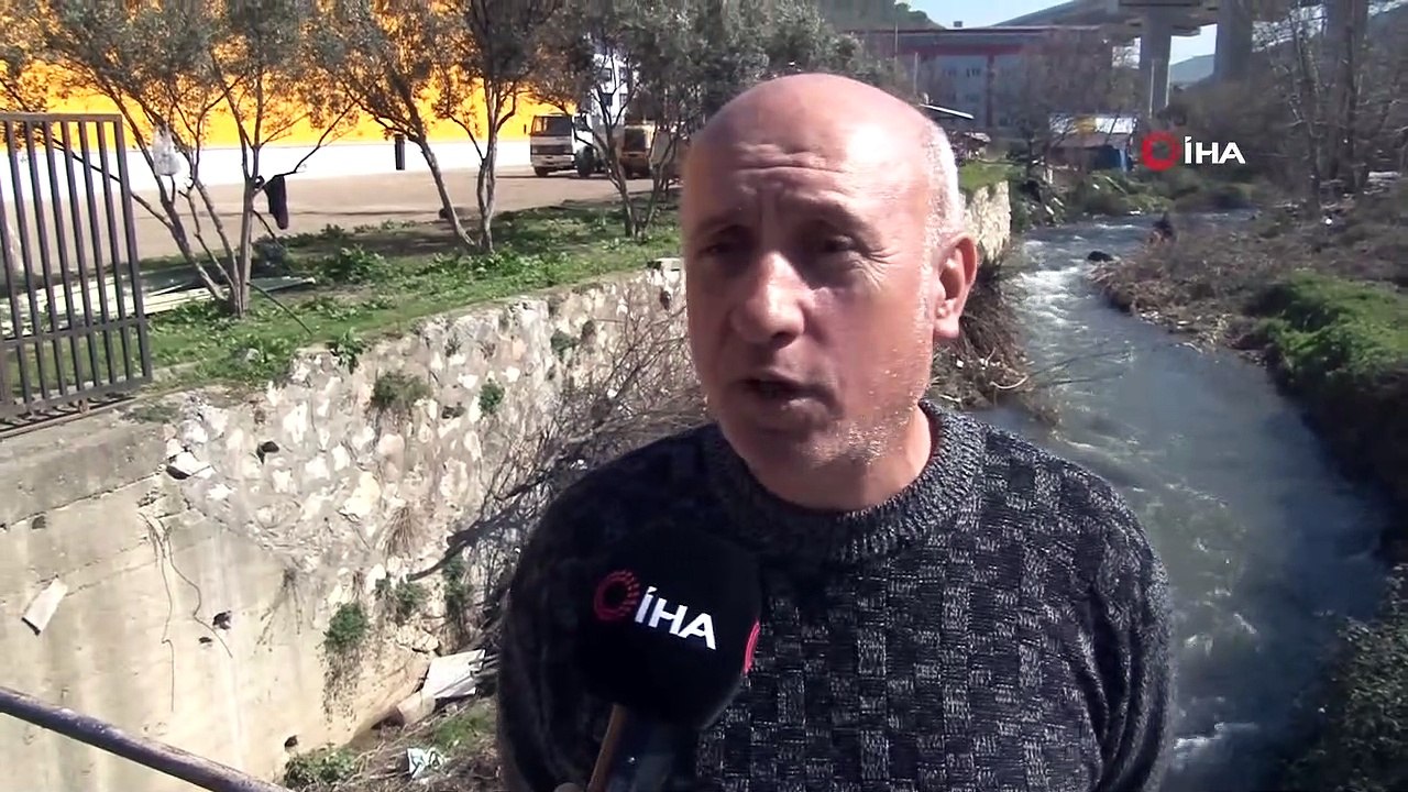 Bursa'da çevre katliamı