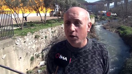 Bursa'da çevre katliamı