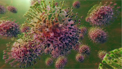 Coronavirus Deaths Rise To 6 In Seattle