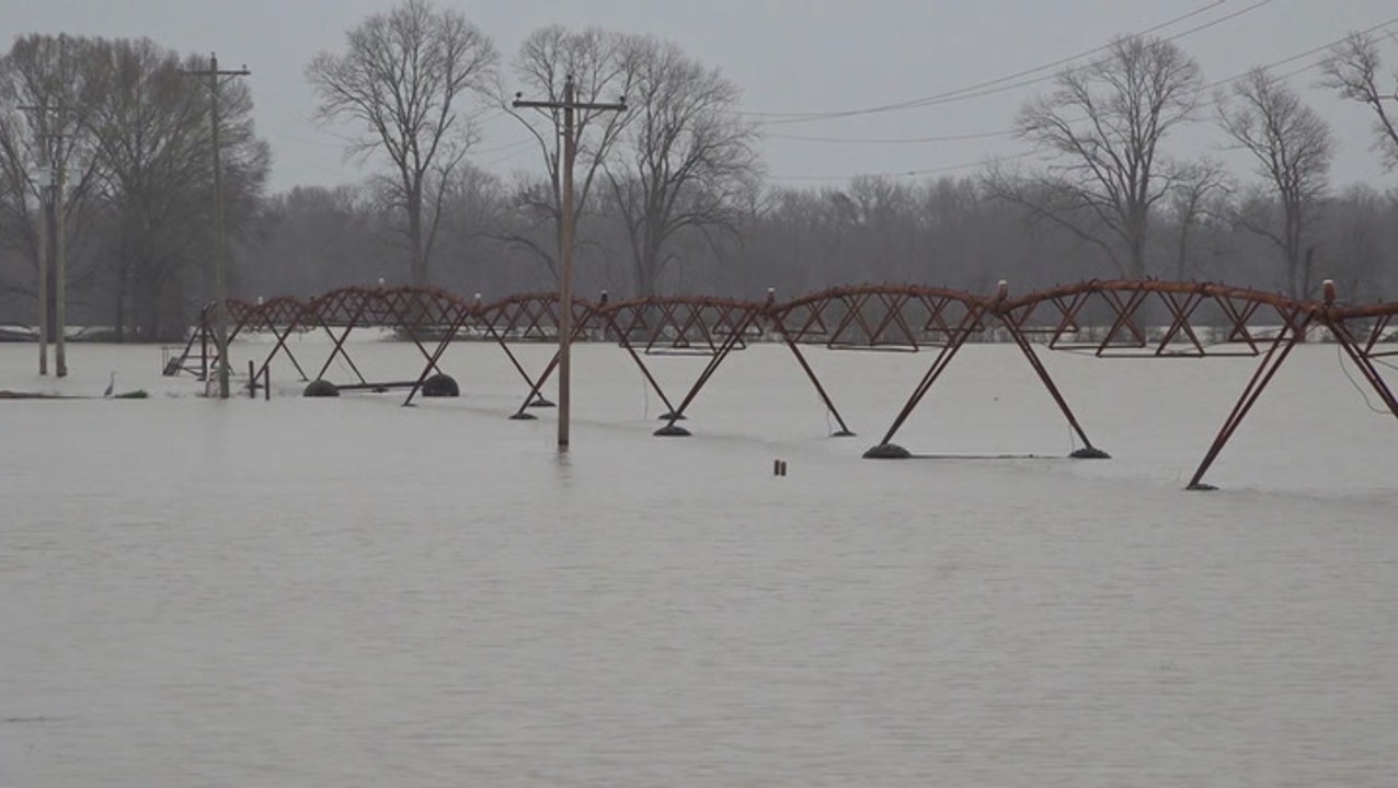 180,000 acres of farmland flooded in Mississippi