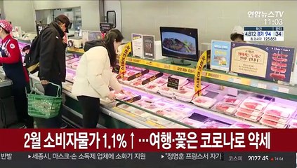 2월 소비자물가 1.1%↑…여행·꽃은 코로나로 약세