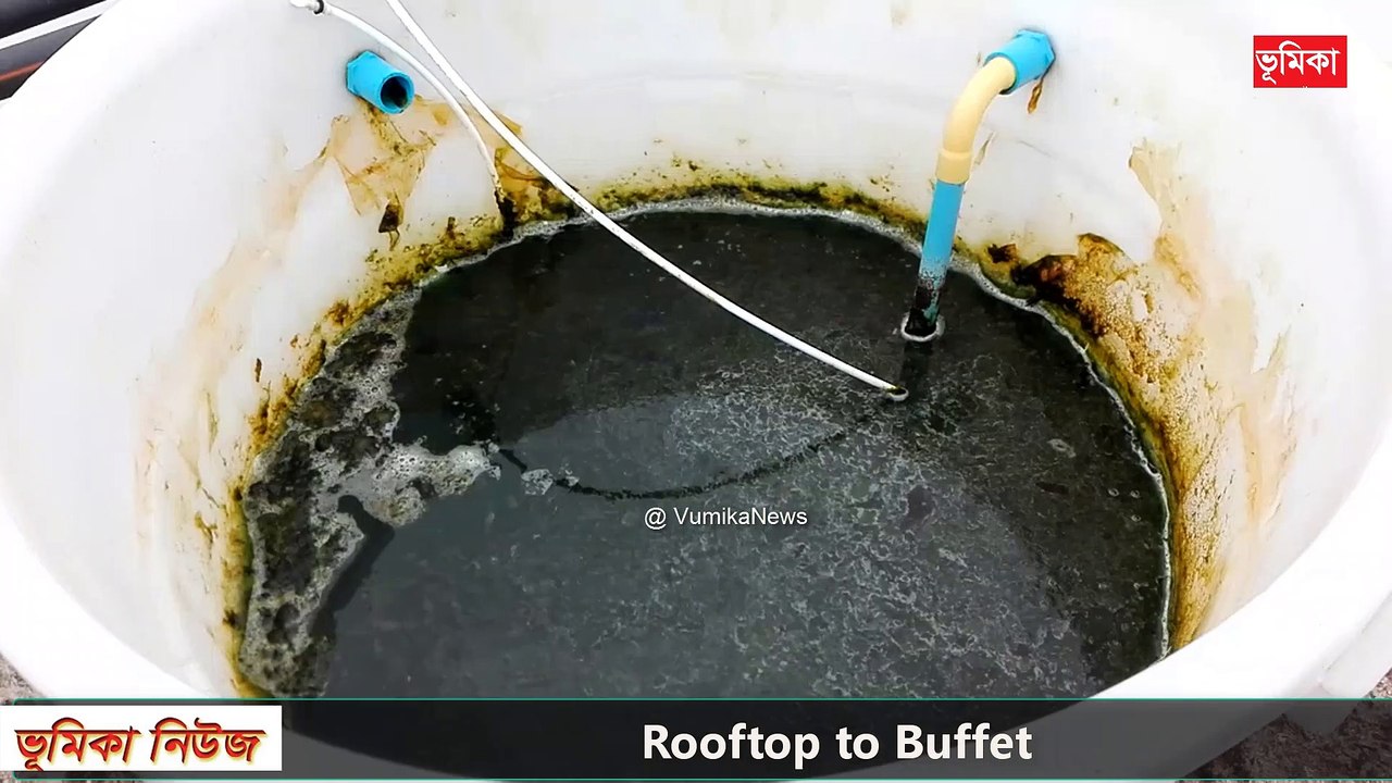 Rooftop Garden Rooftop farming Roof Gardening ছাদকৃষি
