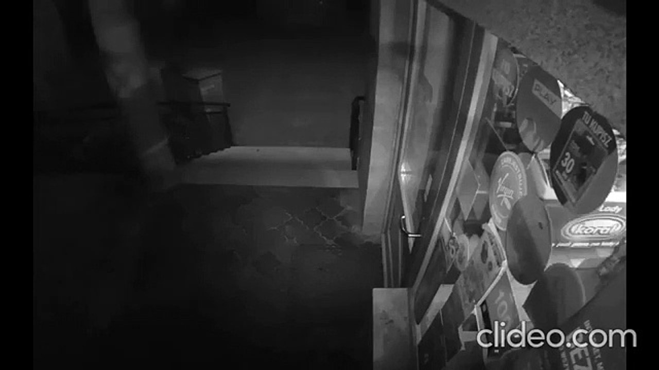 Elle fait fuir un braqueur avec une serpillière...