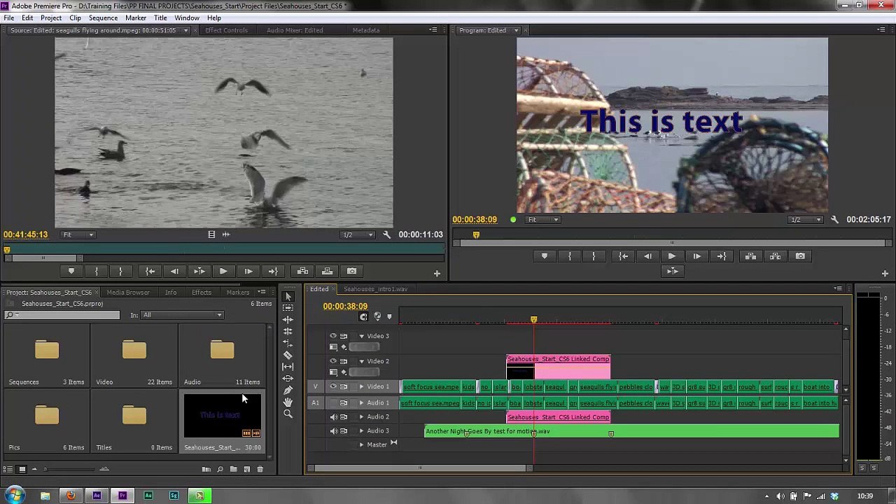 After Effects Basics 55 Dynamic Link