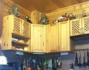 Très peu de gens arrivent à trouver le chat sur cette photo. Et vous?