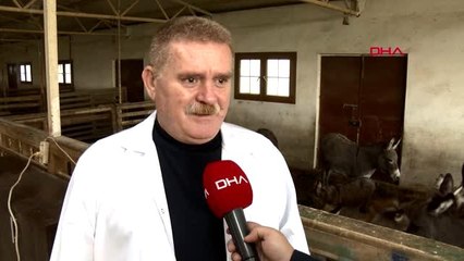 Adana litre fiyatı 150 lira olan eşek sütüne yoğun ilgi