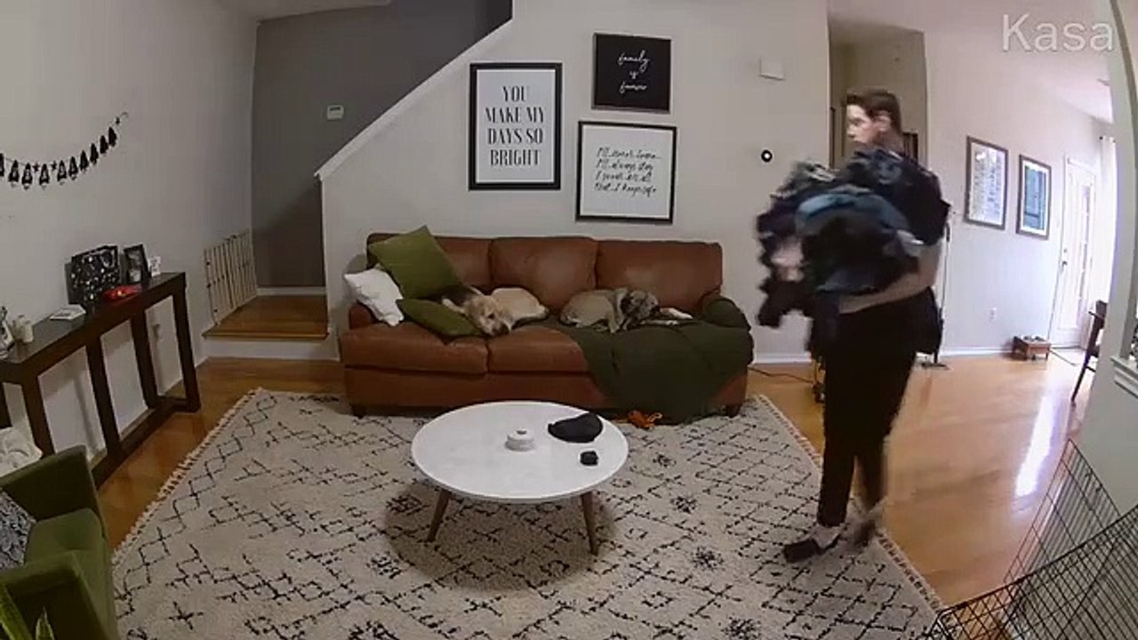 Un chien indispensable