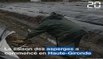 Haute-Gironde: La cueillette des asperges a commencé dans le Blayais
