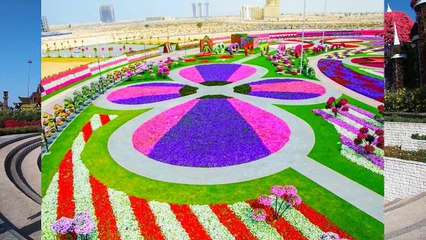 Miracle Garden Dubai