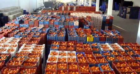 Akdeniz'in meyve ve sebze ihracatı Şubat'ta 107 milyon doları geçti