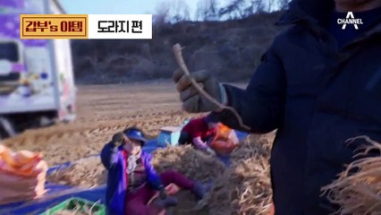[갑부's 아템] ※품절임박※ 최고의 건강식품 '도라지 삼총사'로 매년 12억씩 버는 사람이 있다 ($0$)!!
