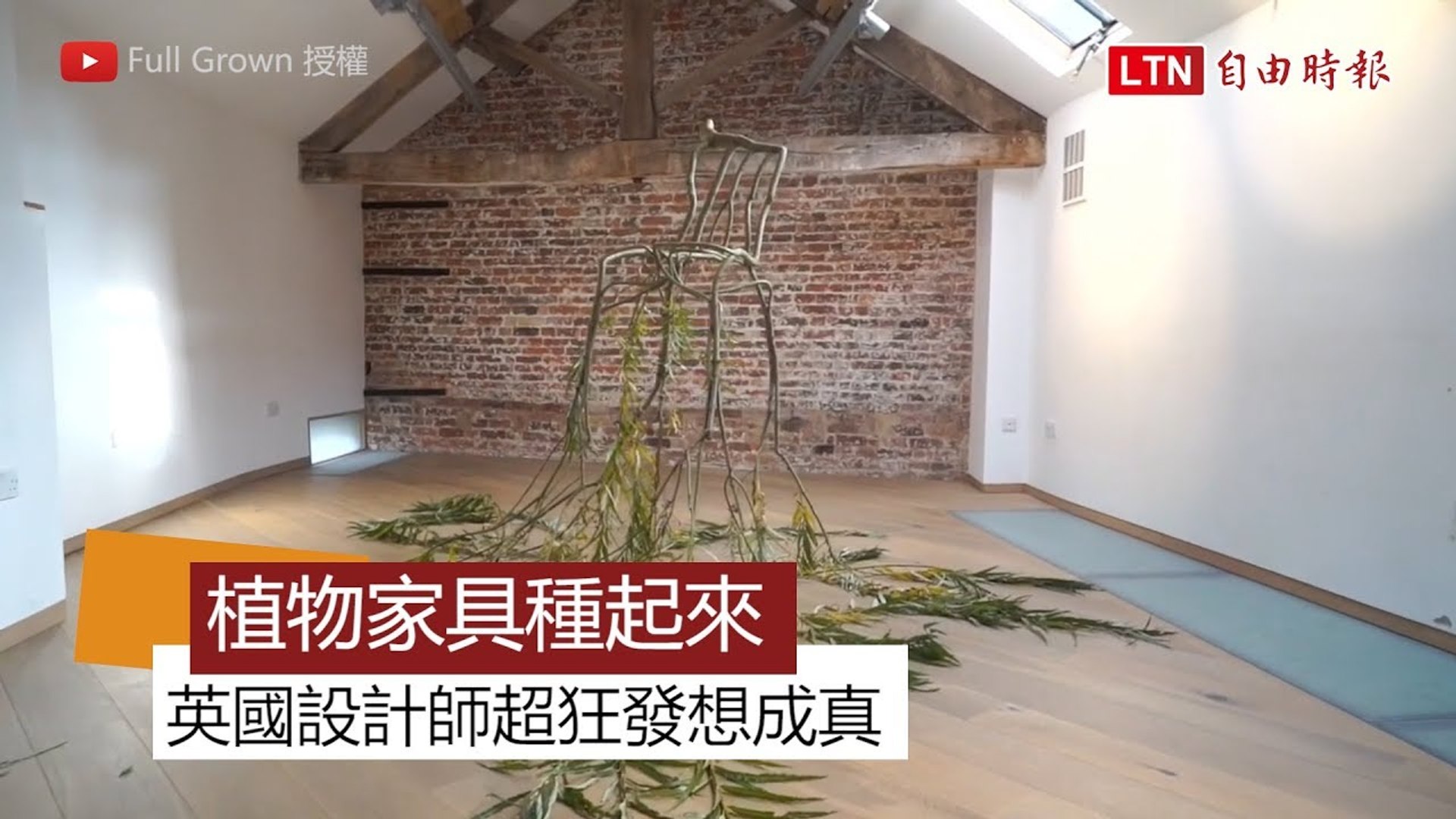 植物家具種起來！英國設計師超狂發想成真