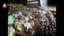 Puglia: trasformavano rifiuti in compost pericoloso. 7 arresti a Foggia - video