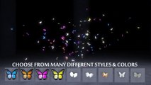 iREAL Animated Butterflies and Wisps (ABRIDGED)