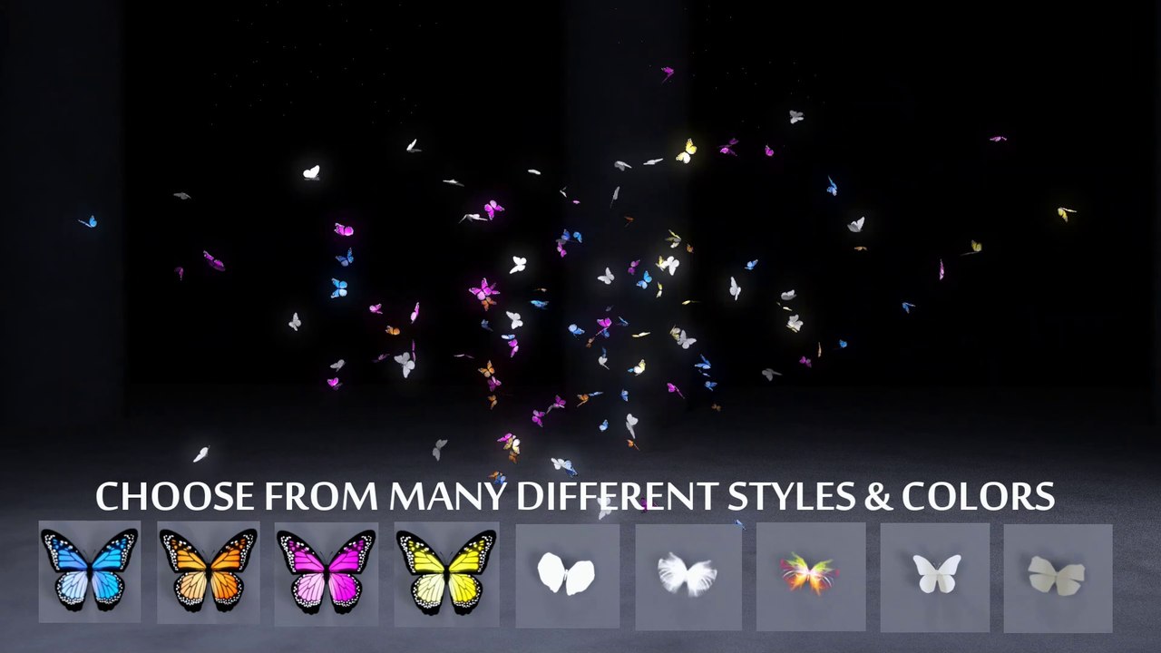 iREAL Animated Butterflies and Wisps (ABRIDGED)