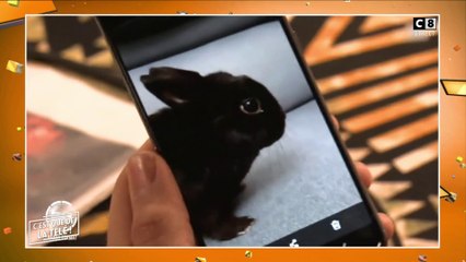 Voyance : Il parle avec des animaux morts !