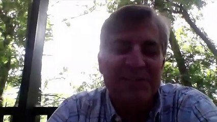 ¿Es el apocalipsis de los insectos real?-Is the insect apoclypse real?