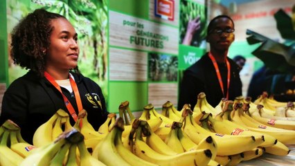 Les produits du lycée agricole de la Guadeloupe au Salon International de l’Agriculture 2020