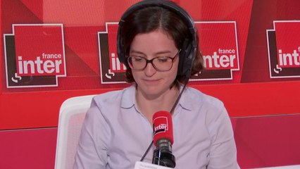 L'hécatombe des dauphins - Camille passe au vert