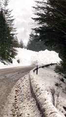 Une gigantesque avalanche finit sa route à leurs pieds