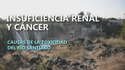 Insuficiencia renal y cáncer, consecuencias de la toxicidad del río Santiago
