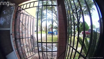 Balaclava Clad Package Bandit