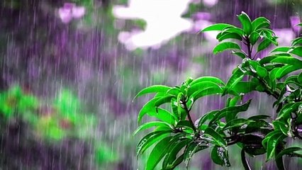 Two minute relaxing tranquill landscape for healing practice,medition and stress relief.