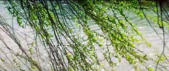 Radioactive - Teaser Trailer