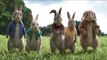 Peter Rabbit 2 (Sony Pictures)