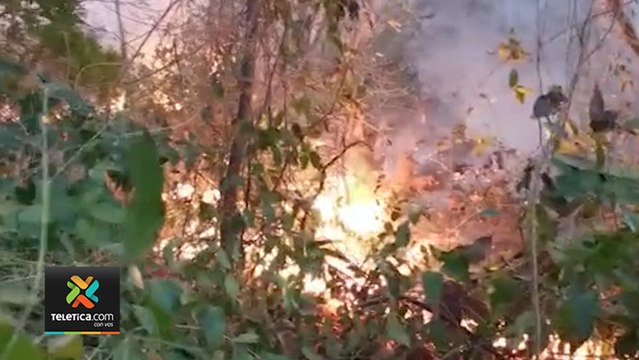 tn7-incendios-reportados-por-sinac-100320