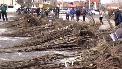 Aksaray'da çiftçilere yüzde 50 hibeli 19 bin 150 fidan verildi