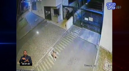 Cámaras de seguridad captan el procedimiento para robar carros en zonas residenciales de Quito