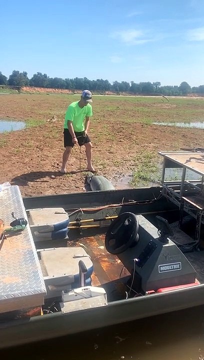 Fishermen Catch Massive Alligator Gar