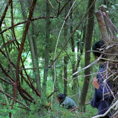 Liziqi TV - Liziqi: Interesting gadgets and full moon and tinkering with a bunch of warm.