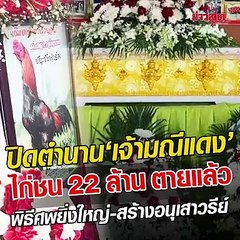 ปิดตำนาน 'เจ้ามณีแดง' ไก่ชน 22 ล้าน ตายแล้ว !!!
