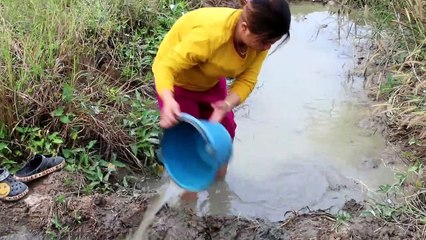 Mud ill Fishing In Cambodia Traditional Fishing (part 022)