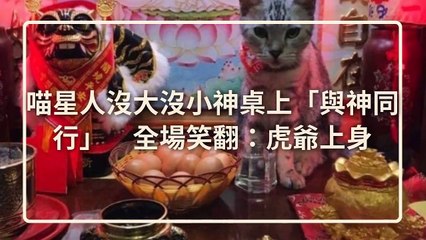 CollectionVideo-petmao_curation-petsmao.nownews|petmao_nownews-copy1-PetsMaoParser-2020/03/04-09:30