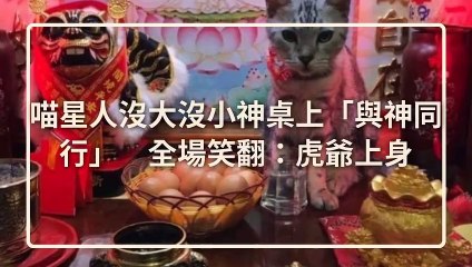 CollectionVideo-petmao_curation-petsmao.nownews|petmao_nownews-copy2-PetsMaoParser-2020/03/04-09:30